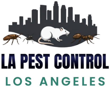website logo